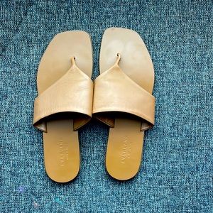 Everlane sandal. Tan colour size 8.5